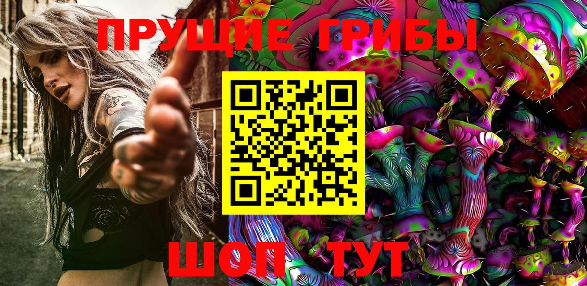 Псилоцибиновые грибы прущие грибы  Вход с VPN  Красноуфимск 